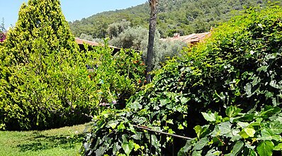 Öz Katre Hotel Ölüdeniz Genel Görünüm