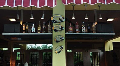 Palm Court Suites Genel Görünüm