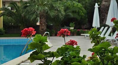 Palm Court Suites Genel Görünüm