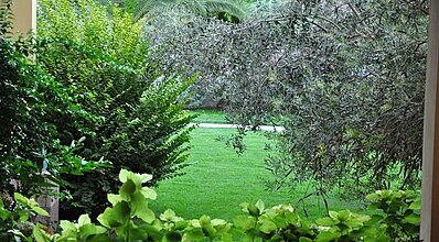 Palm Court Suites Genel Görünüm