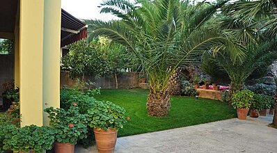 Palm Court Suites Genel Görünüm