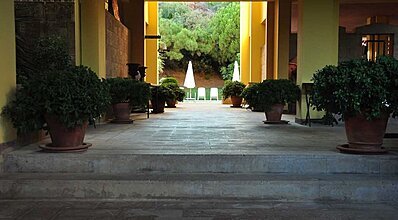 Palm Court Suites Genel Görünüm