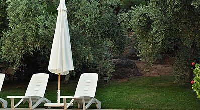 Palm Court Suites Genel Görünüm