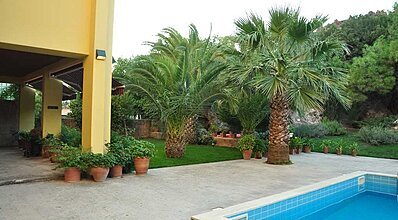 Palm Court Suites Havuz / Deniz