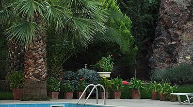 Palm Court Suites Havuz / Deniz