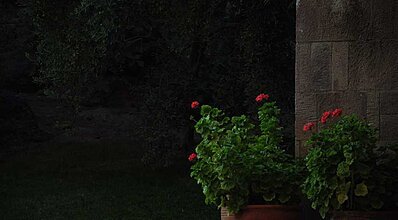 Palm Court Suites Genel Görünüm