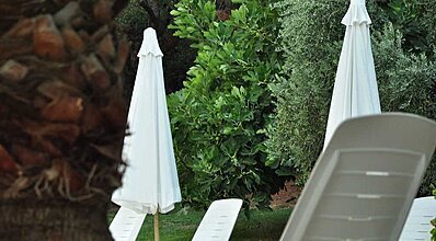 Palm Court Suites Genel Görünüm