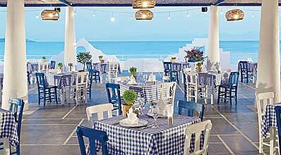 Paloma Pasha Yeme / İçme