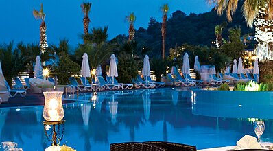 Paloma Pasha Yeme / İçme