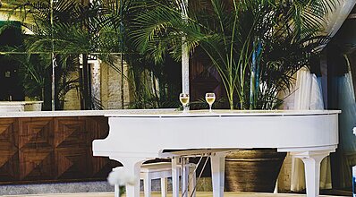 Paloma Pasha Yeme / İçme