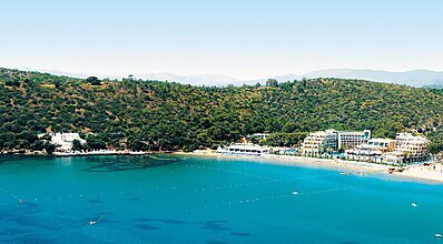 Paloma Pasha Genel Görünüm