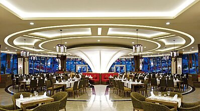 Paloma Pasha Yeme / İçme