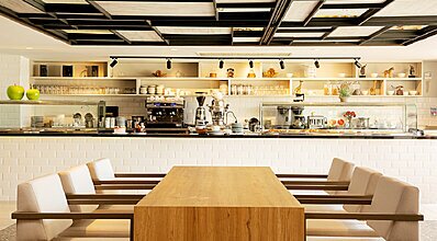 Paloma Perissia Yeme / İçme