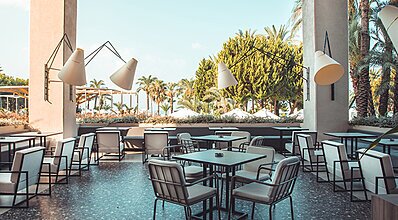 Paloma Perissia Yeme / İçme