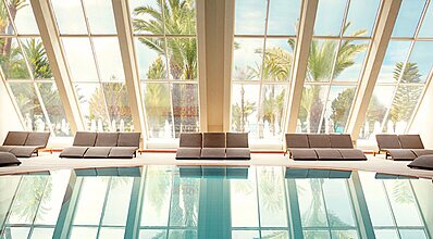 Paloma Perissia Genel Görünüm