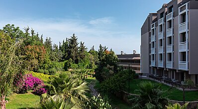 Paloma Perissia Genel Görünüm