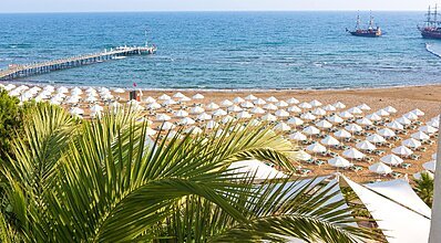 Paloma Perissia Genel Görünüm