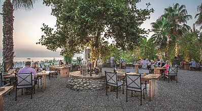 Paloma Perissia Yeme / İçme