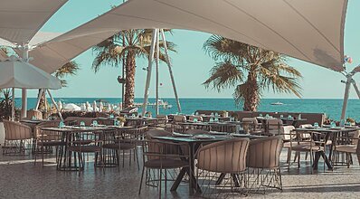 Paloma Perissia Yeme / İçme