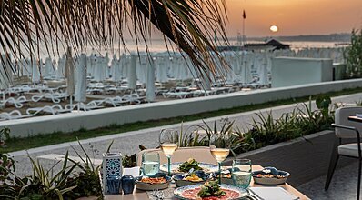 Paloma Perissia Genel Görünüm