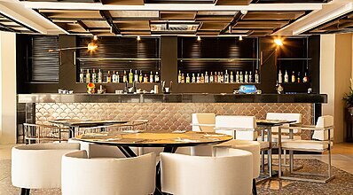 Paloma Perissia Yeme / İçme