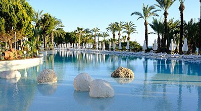 Paloma Perissia Genel Görünüm