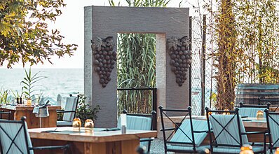 Paloma Perissia Yeme / İçme