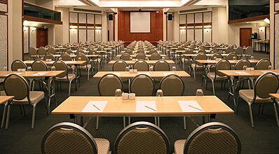 Paloma Perissia Genel Görünüm