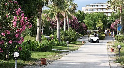 Pemar Beach Resort Hotel Genel Görünüm