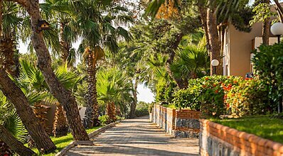 Pine Bay Holiday Resort Genel Görünüm