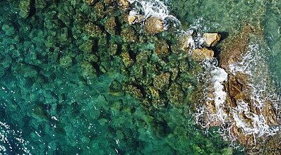 Pine Bay Holiday Resort Havuz / Deniz