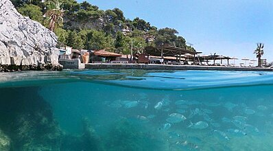 Pine Bay Holiday Resort Havuz / Deniz