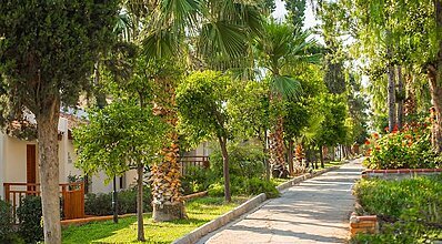 Pine Bay Holiday Resort Genel Görünüm