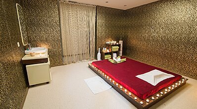 Prestige Thermal Hotel Spa & Wellness Genel Görünüm