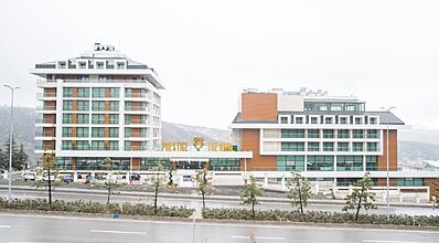 Prestige Thermal Hotel Spa & Wellness Genel Görünüm
