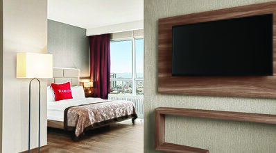 Ramada By Wyndham Sivas Oda