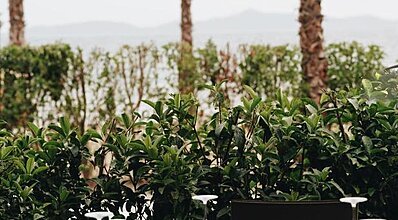 Rammos Hotel Bodrum Yeme / İçme