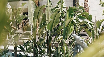 Rammos Hotel Bodrum Genel Görünüm