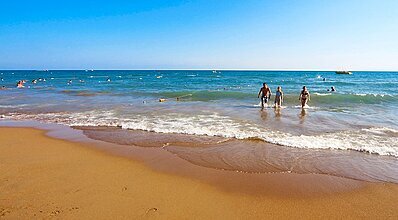 Royal Taj Mahal Hotel Side Havuz / Deniz