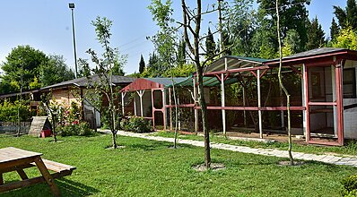 Sapanca Çayır Çimen Otel Genel Görünüm