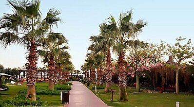 Saturn Palace Resort Hotel Genel Görünüm