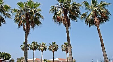 Selinus Beach Club Hotel Genel Görünüm