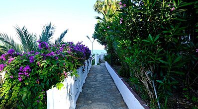 Senza Garden Holiday Club Genel Görünüm