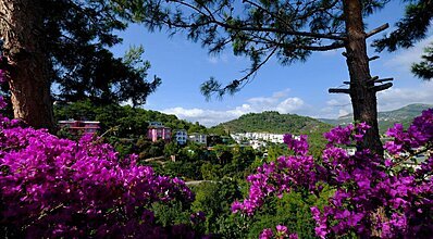 Senza Garden Holiday Club Genel Görünüm