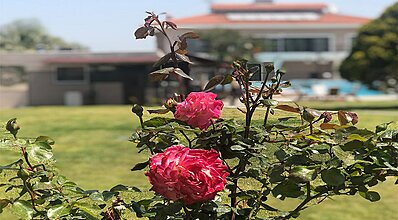 Suess Alaçatı Genel Görünüm