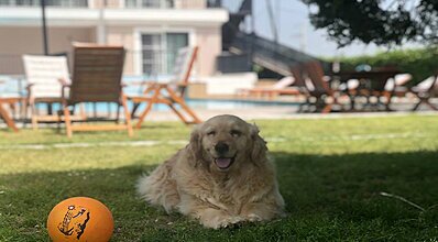 Suess Alaçatı Genel Görünüm