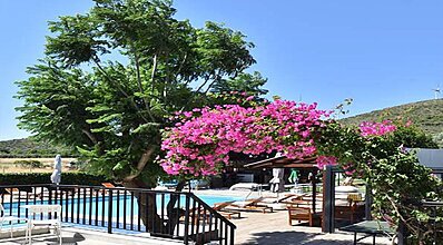 Suess Alaçatı Havuz / Deniz