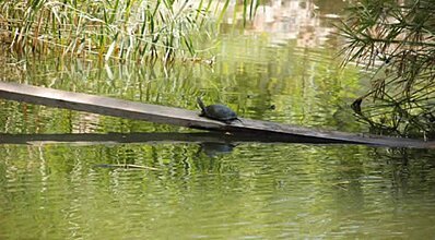 The Bay Beach Club Genel Görünüm