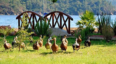 The Bay Beach Club Genel Görünüm