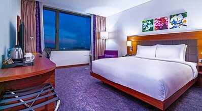 The Green Park Sivas Oda